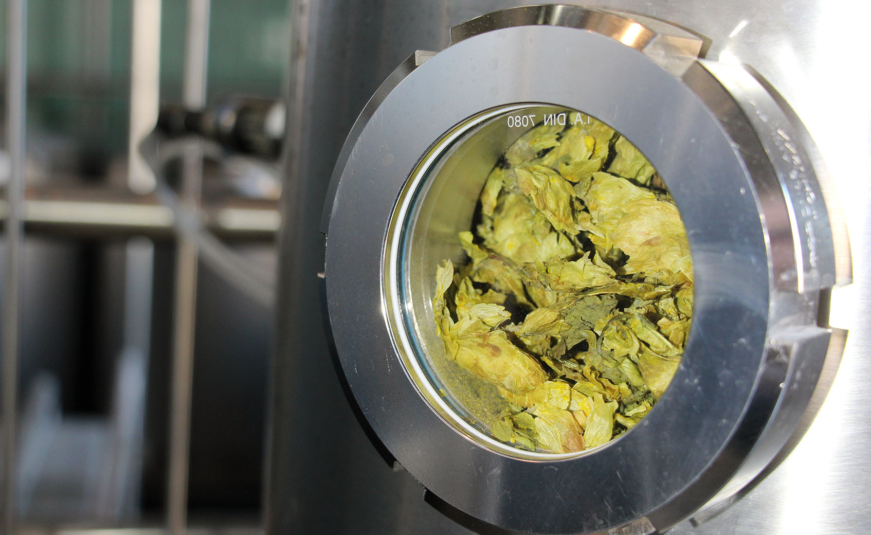 Sudhaus Brautechnik Dolden Hopfen Late Hopping Whirlpool