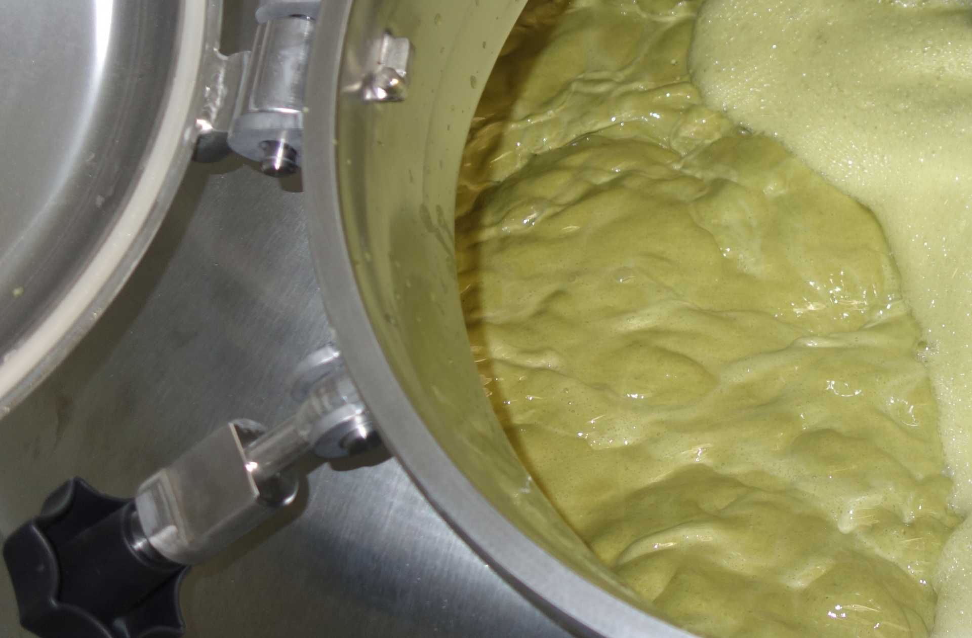 Dry Hopping Hopfengabe Bier Pellets Aroma Gewürze
