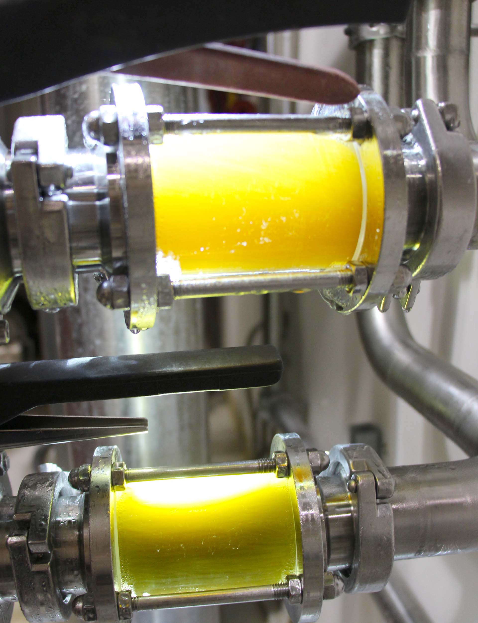 Dry Hopping Hopfengabe Bier Pellets Aroma Gewürze