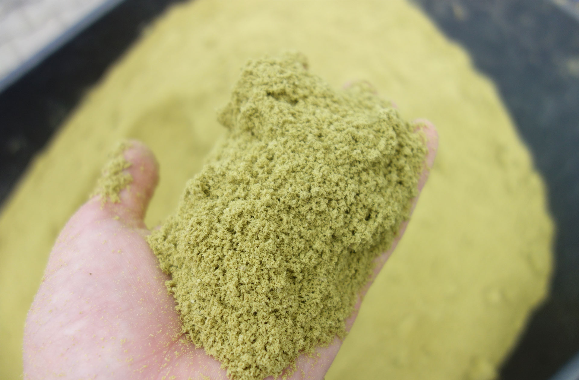 Dry Hopping Hopfengabe Bier Pellets Aroma Extern Feststoffrückhaltung